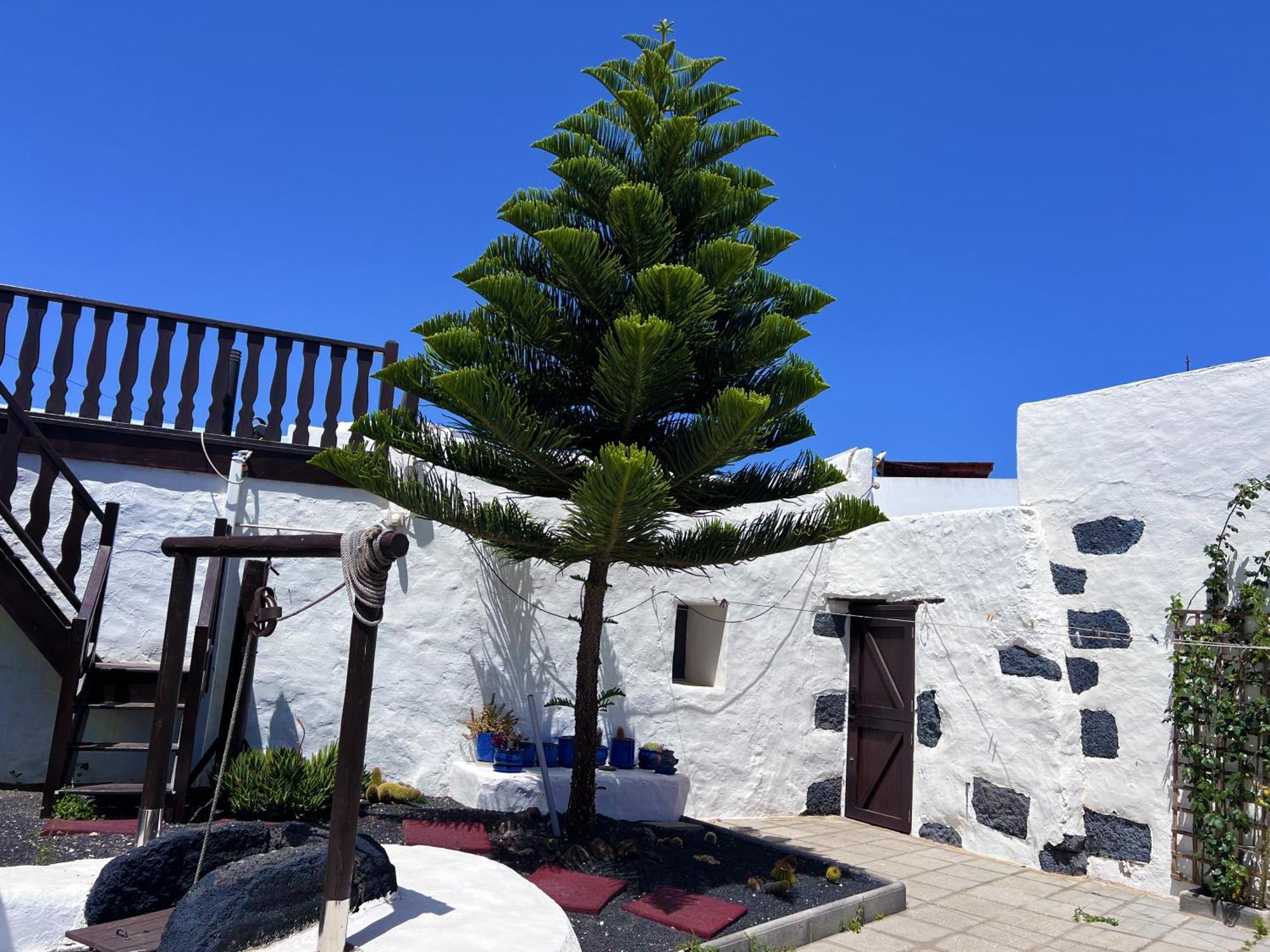 Casa Rural Estilo Canario Villa San Bartolome  Bagian luar foto
