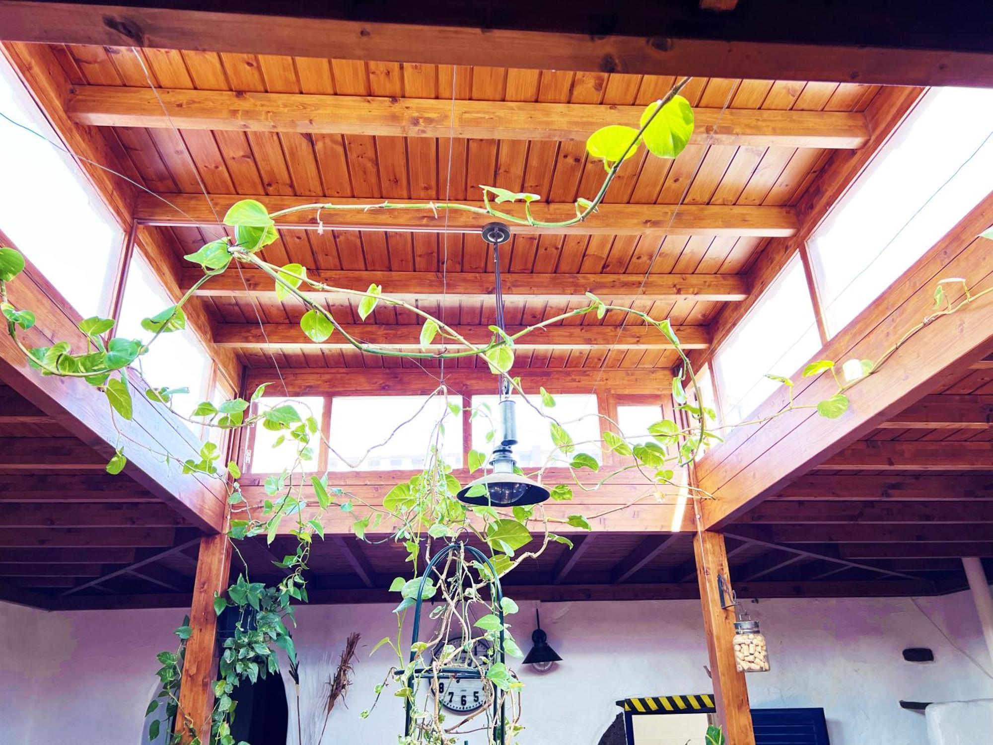 Casa Rural Estilo Canario Villa San Bartolome  Bagian luar foto